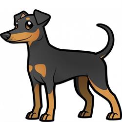 Manchester Terrier Kennel, Schipluiden openingstijden