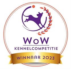 Manchester Terrier Kennel, Schipluiden openingstijden