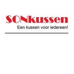 SONkussen, Delden openingstijden