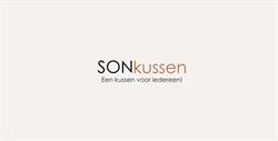 SONkussen, Delden openingstijden