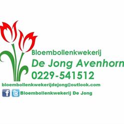 Bloembollenkwekerij De Jong, Avenhorn openingstijden