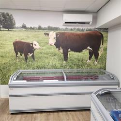 Van de Bommel Herefords, Wadenoijen openingstijden