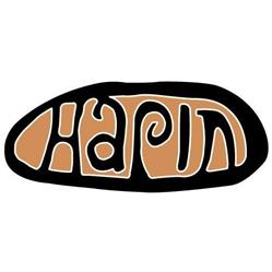 Hapin - Papua Support Foundation, Utrecht openingstijden