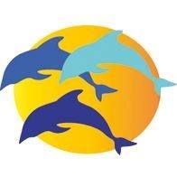 Healing Sense coaching & training, Utrecht openingstijden