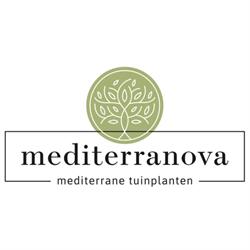 Mediterranova, Tholen openingstijden