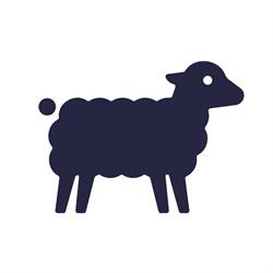 Little Sheep Animatie Studio, Amsterdam openingstijden