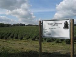 Gebr. Geraerts, Hapert openingstijden