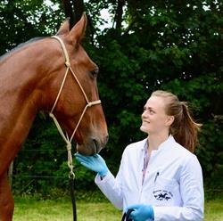 Diensten Voor Dieren, Haringhuizen openingstijden