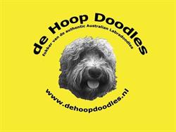 De Hoopdoodles, Waskemeer openingstijden