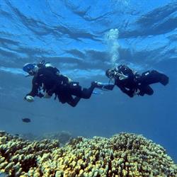 MaiDiving Divecenter, Poortugaal openingstijden