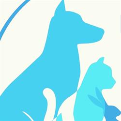 Dierenkliniek In de Buurt, Odijk openingstijden