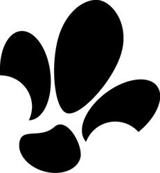 Scouting Sint Bernardusgroep, Lievelde openingstijden