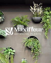 Maxifleur Kunstplanten B.V., Aalsmeer openingstijden