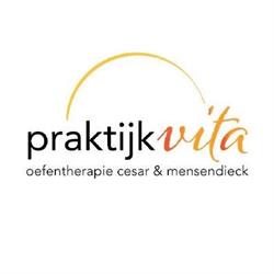 Praktijk Vita Oefentherapie Cesar en Mensendieck, Wijk bij Duurstede openingstijden