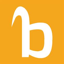 Bazaaronline, Woerden openingstijden
