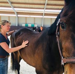 Laila van Dijk Sportmassage, Garrelsweer openingstijden
