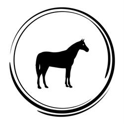 Horse2Coach - Paardencoaching, hypnotherapie, individuele- en teamontwikkeling, Deest openingstijden