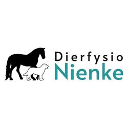 Dierfysio Nienke, Heerle openingstijden