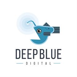 DeepBlueDigital, Amsterdam openingstijden