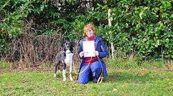 Doggy Duo Fun, Zevenaar openingstijden