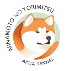 Minamoto No Yorimitsu Akita, Katwijk openingstijden