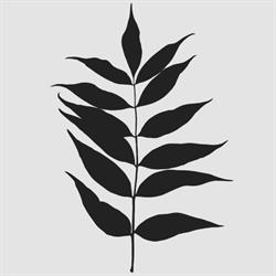 PrintedPlant, De Kwakel openingstijden
