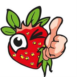 aardbeiplantje.nl, Baarlo openingstijden