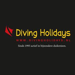 Diving Holidays B.V., Cruquius openingstijden