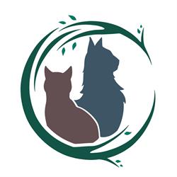 Kels' Cats de Katten Specialist, Eygelshoven openingstijden