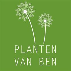 Planten van Ben, Pieterzijl openingstijden