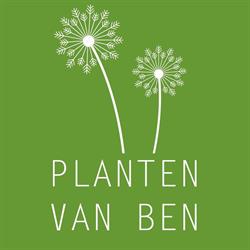 Planten van Ben, Pieterzijl openingstijden