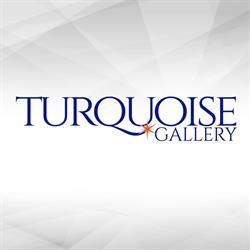 Turquoise Gallery, Schiedam openingstijden