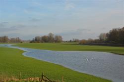 Levenswending Ritueelbegeleiding, Wijk bij Duurstede openingstijden