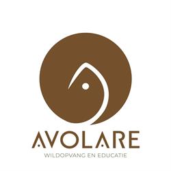 Avolare, Doorwerth openingstijden