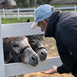 Zorgboerderij de Wederloop, Diessen openingstijden