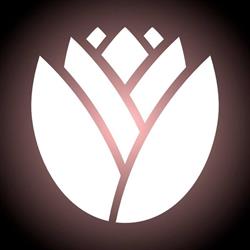White Lotus Massage, Rotterdam openingstijden