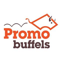 Promobuffels, Ter Apel openingstijden