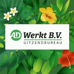 AD Werkt B.V., 's-Gravenhage openingstijden