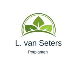 L. van Seters, 's-Gravenzande openingstijden