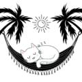 Kattenpension Kockengen, openingstijden