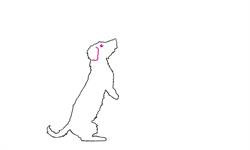 Lilys Pet Care and Wellness (Trimsalon), Loon op Zand openingstijden