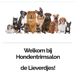 Hondentrimsalon de Lieverdjes Zoomwijck Oud-Beijerland - openingstijden