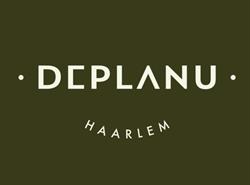 Deplanu, Haarlem openingstijden