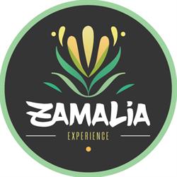Zamalia Experience - CBD Shop & Mini-Museum, Amsterdam openingstijden