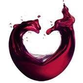 pro vino, Schinnen openingstijden
