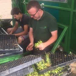 Boomkwekerij Jos Willemsen en zoon vof, Zundert openingstijden