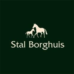 Stal Borghuis (R.H. Borghuis en J.N. Hoogerbrugge), Weerselo openingstijden