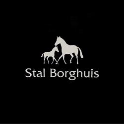 Stal Borghuis (R.H. Borghuis en J.N. Hoogerbrugge), Weerselo openingstijden