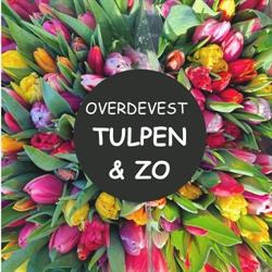 Tulpen & Zo, Wassenaar openingstijden