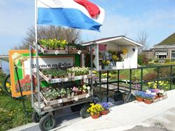 Hoornsman B.V., Julianadorp openingstijden